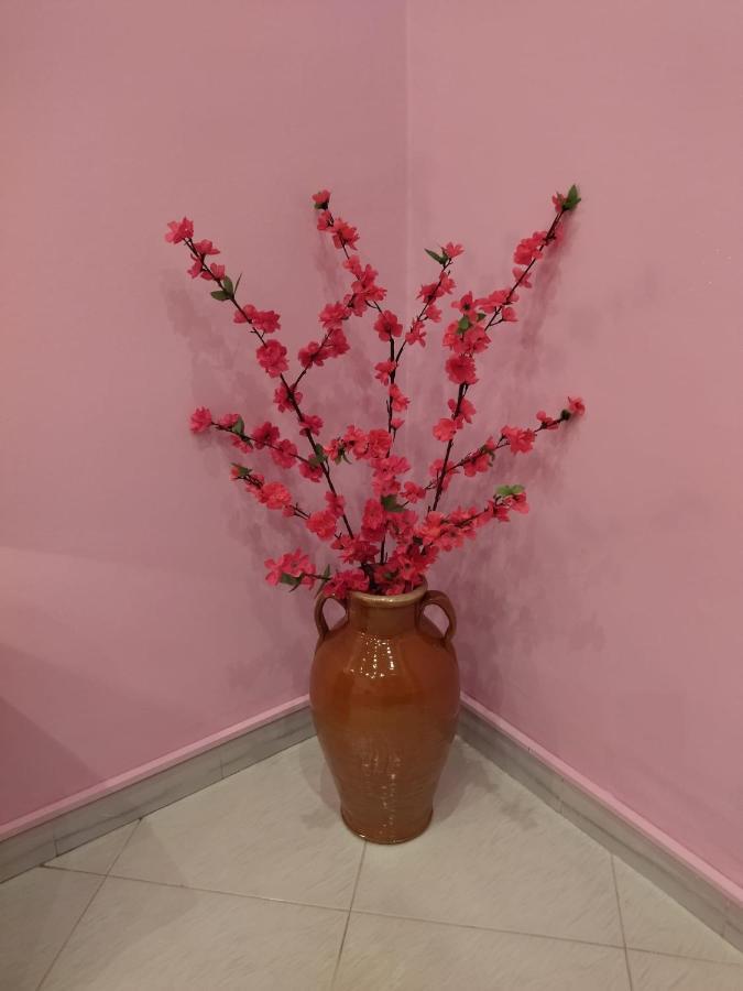 Nonno Ciccio Apartment Lizzano  Εξωτερικό φωτογραφία